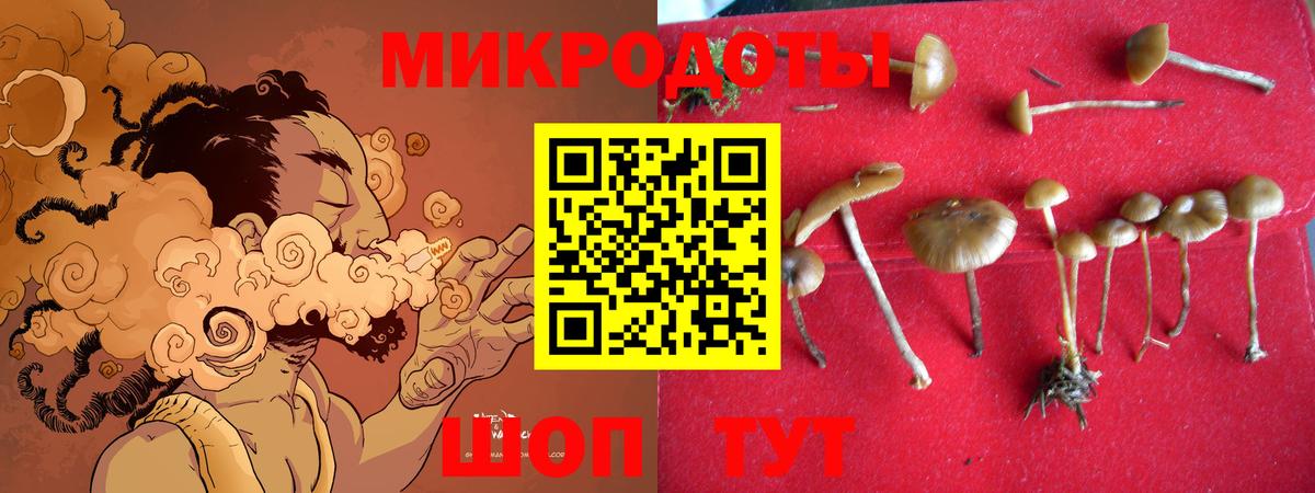 Галлюциногенные грибы Cubensis Черногорск