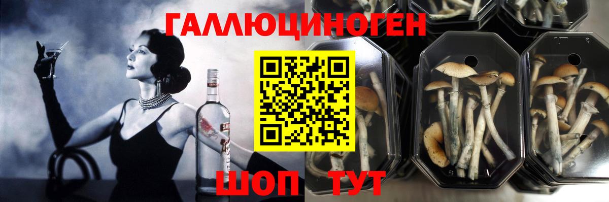 Псилоцибиновые грибы мицелий  Вход с VPN  Черногорск 